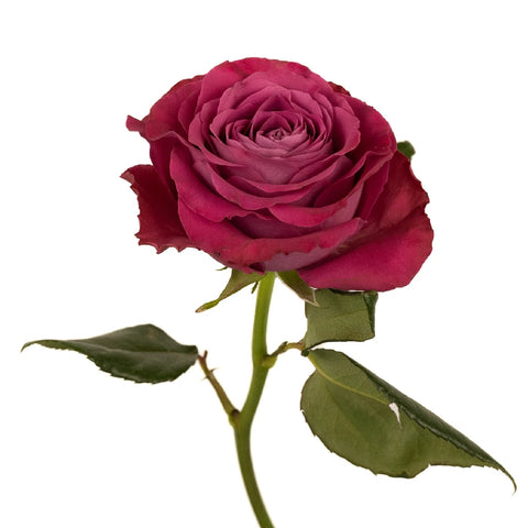 Precious Moments Garden Rose Stem - Image