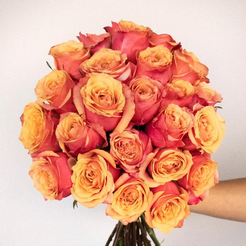 Prepaid Premium Rose Subscription Box - Image