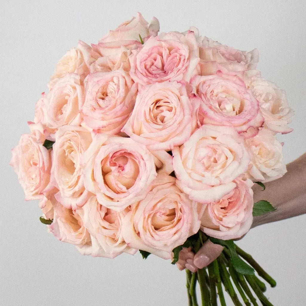 Buy Wholesale Prepaid Premium Rose Subscription Box in Bulk - Fifty...