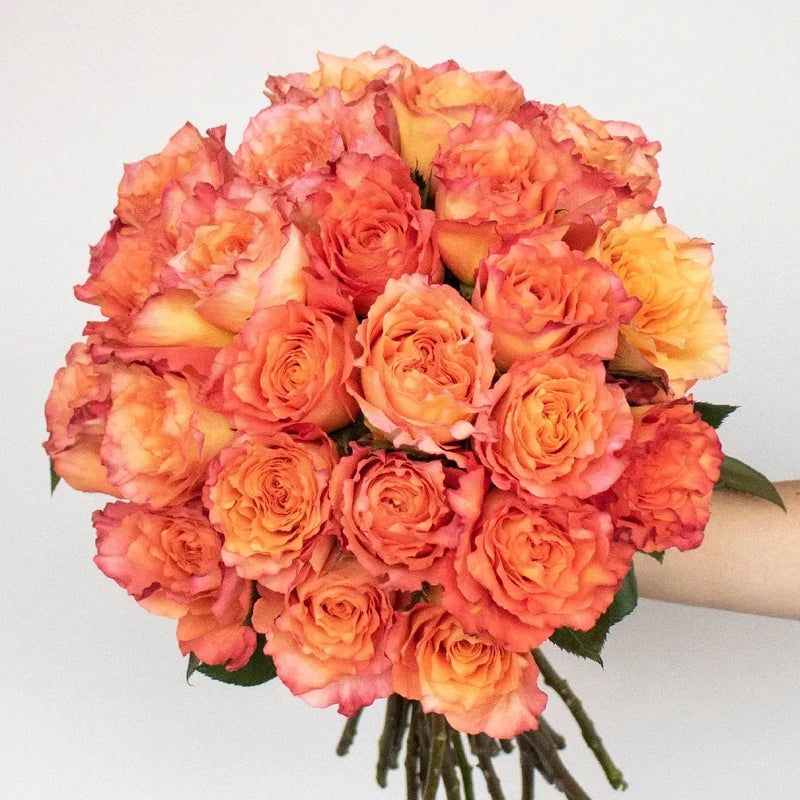 Prepaid Premium Rose Subscription Box - Image