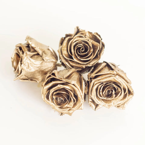 Preserved Andean Gold Rose Apron - Image