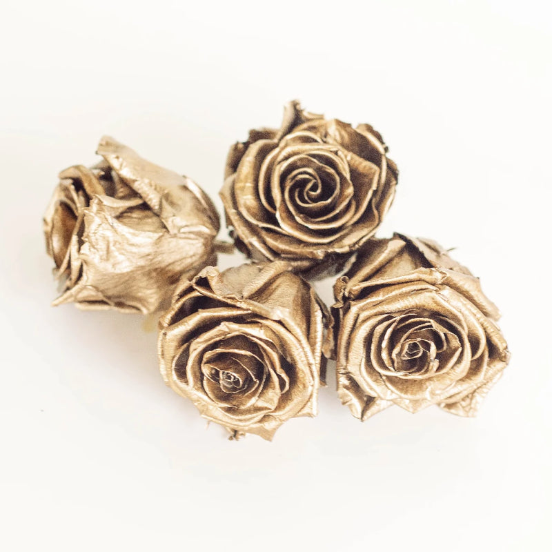 Preserved Andean Gold Rose Apron - Image