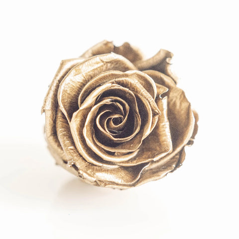 Preserved Andean Gold Rose Close Up - Image