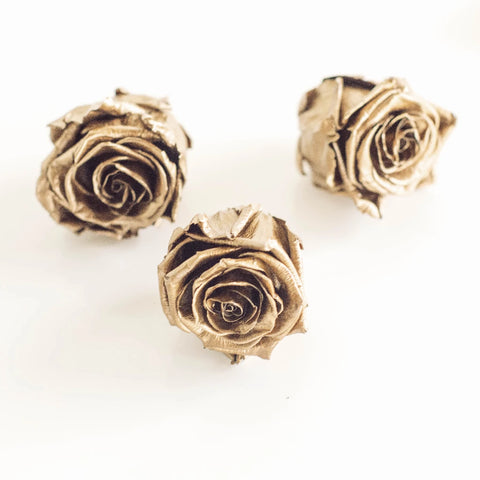 Preserved Andean Gold Rose Stem - Image