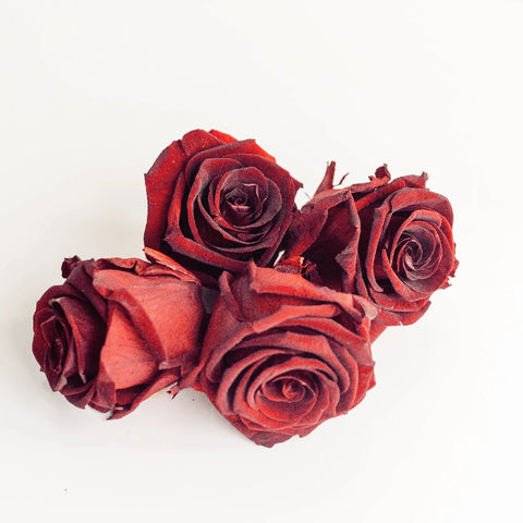 Preserved Aurora Red Apron - Image