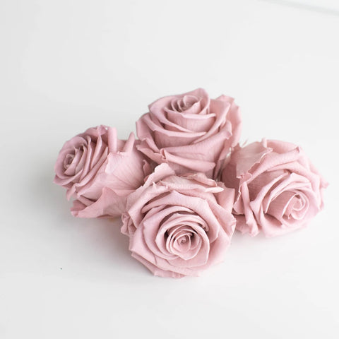 Preserved Blush Rose Apron - Image