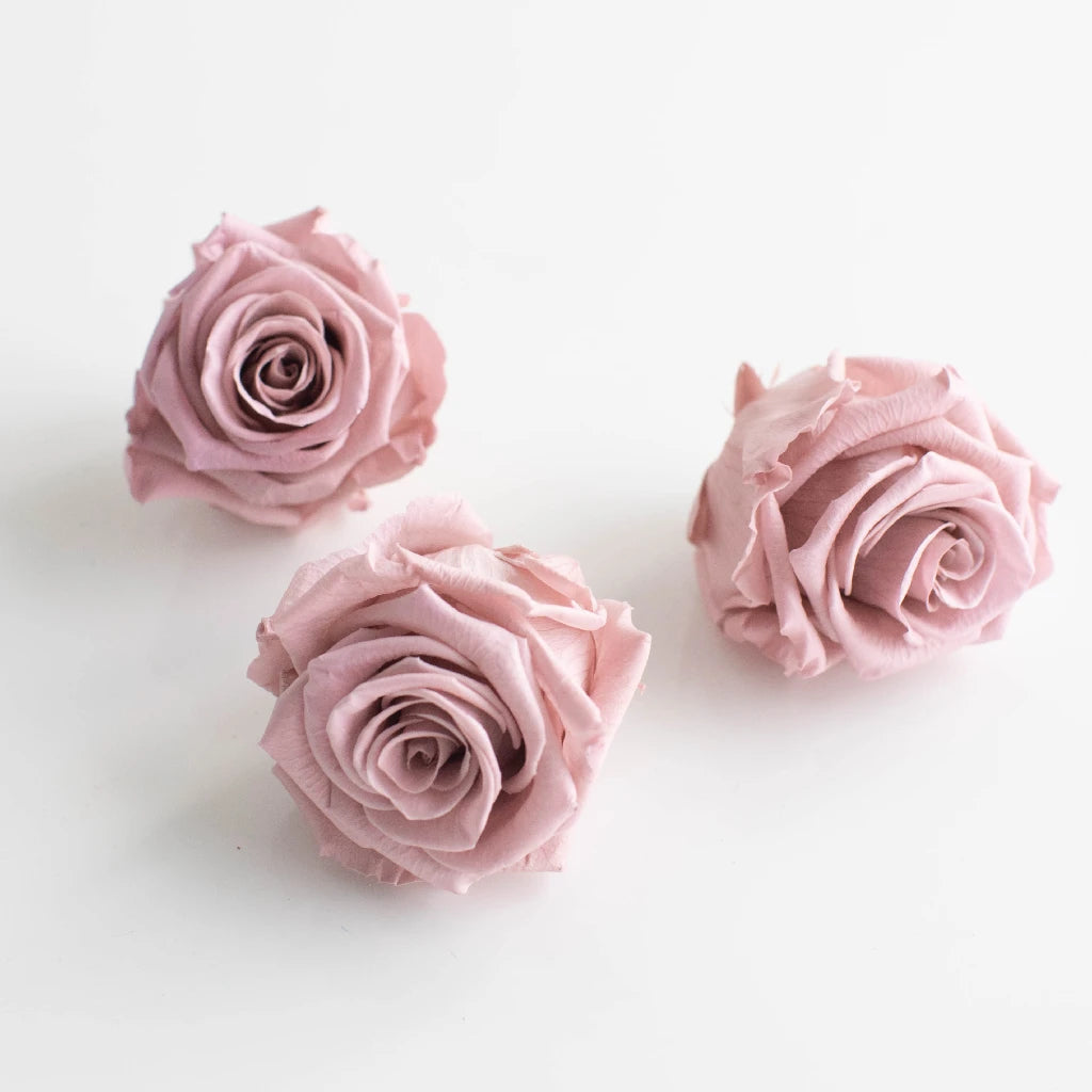 Buy Online Beautiful Pink Ceramic Rose with cream Petals Ear Studs. – One  Stop Fashion