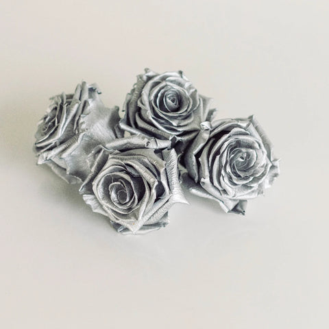 Preserved Chimborazo Silver Rose Apron - Image