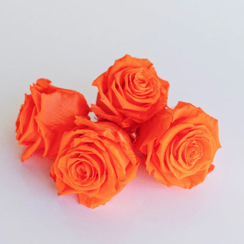 Preserved Classic Orange Rose Apron - Image