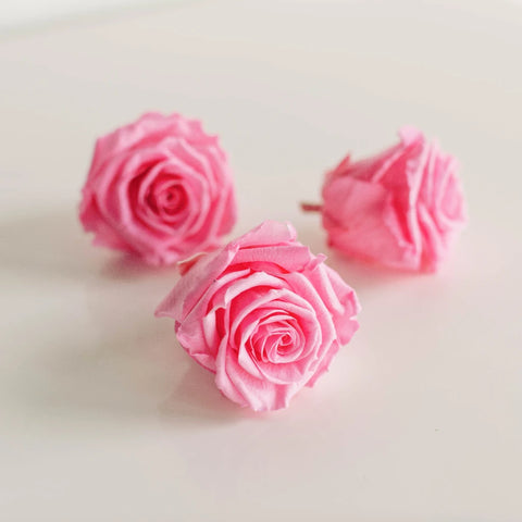 Preserved Classic Pink Rose Stem - Image
