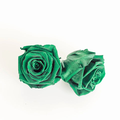Preserved Green Rose Stem - Image