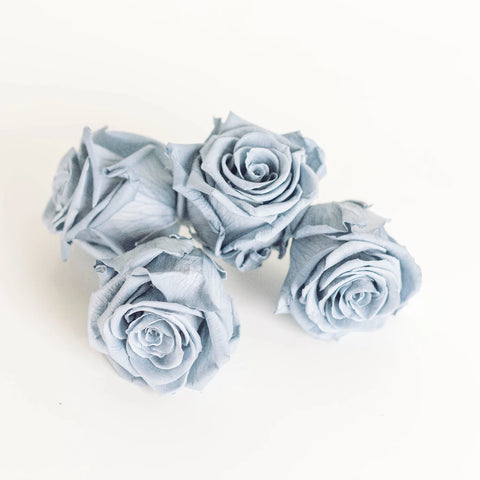 Preserved Grey Rose Apron - Image