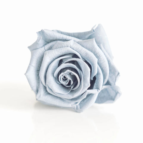 Preserved Grey Rose Close Up - Image
