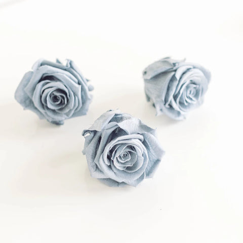 Preserved Grey Rose Stem - Image