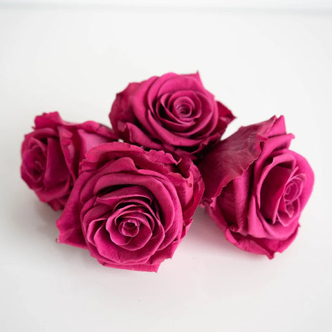 Preserved Hot Pink Rose Apron - Image
