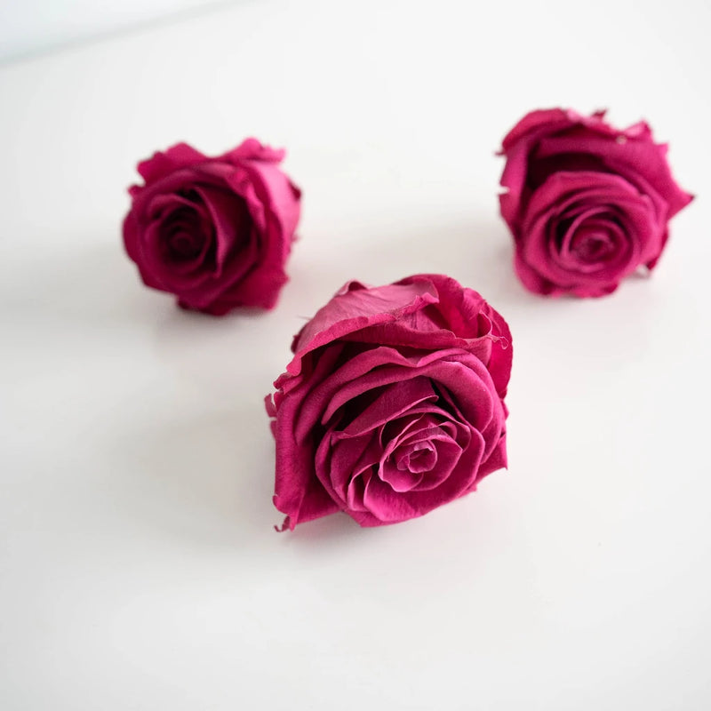 Preserved Hot Pink Rose Stem - Image