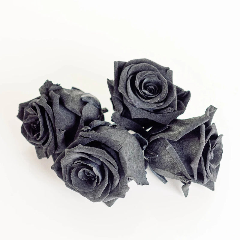 Preserved Night Black Rose Apron - Image