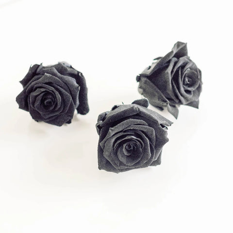 Preserved Night Black Rose Stem - Image