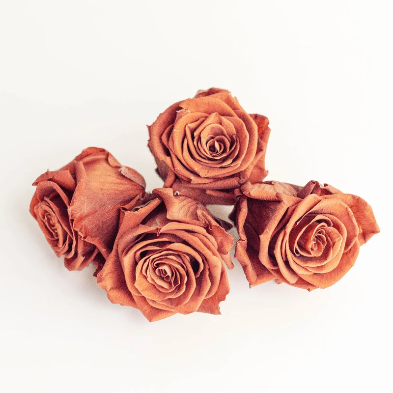 Preserved Oak Brown Rose Apron - Image