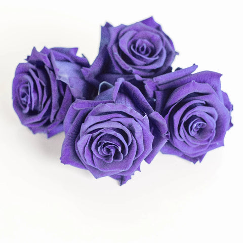 Preserved Pale Violet Rose Apron - Image