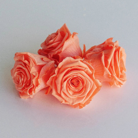 Preserved Peach Rose Apron - Image