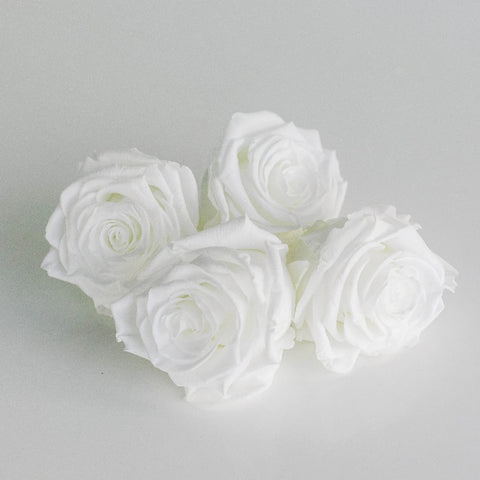 Preserved Pure White Rose Apron - Image