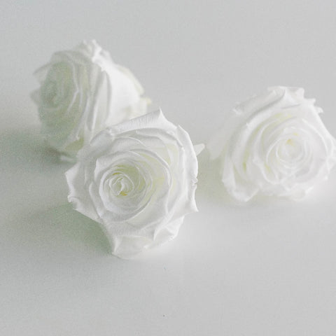 Preserved Pure White Rose Stem - Image