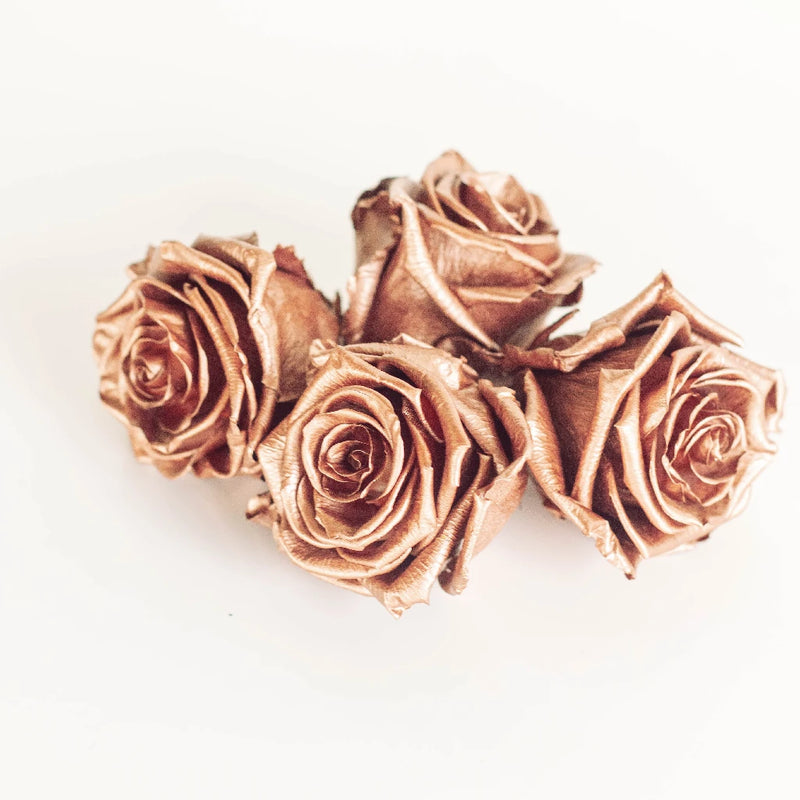 Preserved Rose Gold Rose Apron - Image
