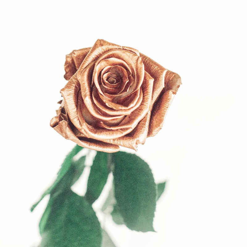 Preserved Rose Gold Rose Vase - Image