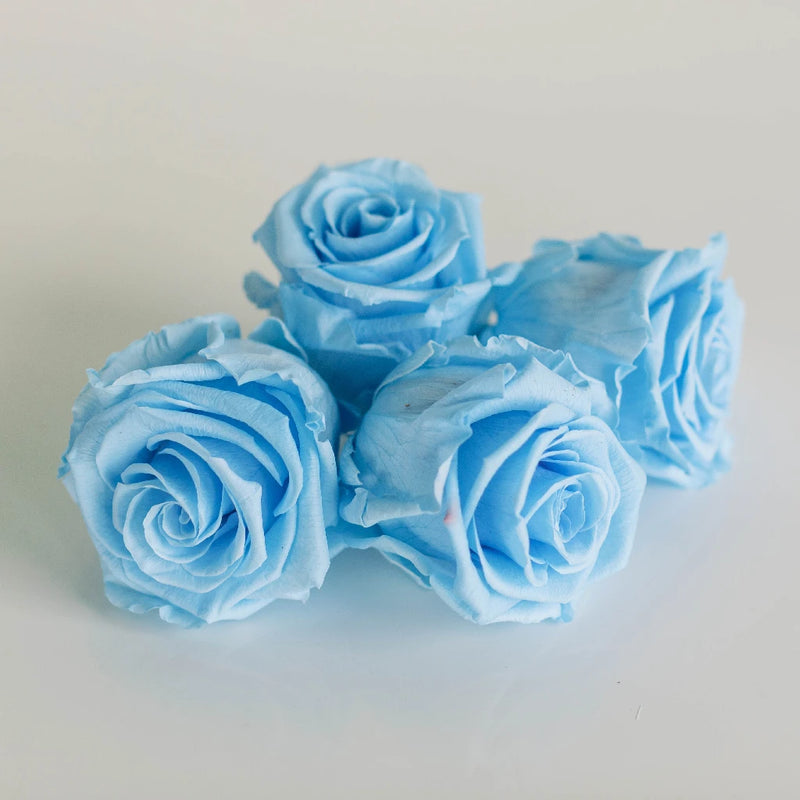 Preserved Roses Light Blue Apron - Image