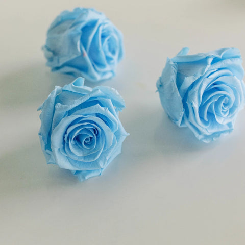 Preserved Roses Light Blue Stem - Image