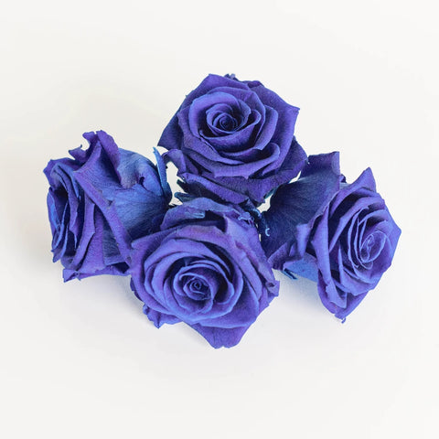 Preserved Simple Blue Rose Apron - Image