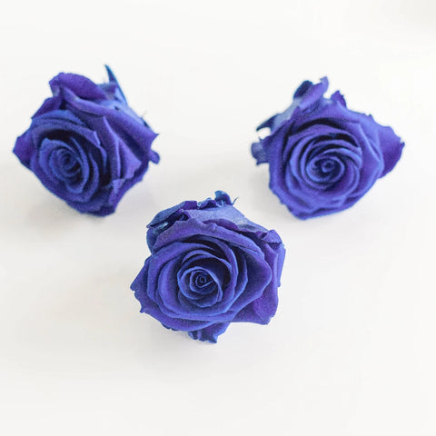 Preserved Simple Blue Rose Stem - Image