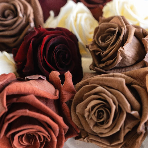 Preserved Terrocota Soul Mix Close Up - Image