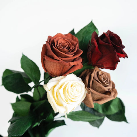 Preserved Terrocota Soul Mix Stem - Image