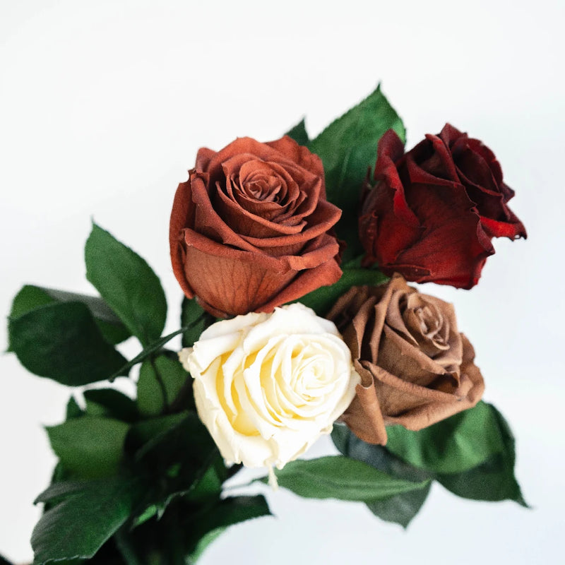 Preserved Terrocota Soul Mix Stem - Image