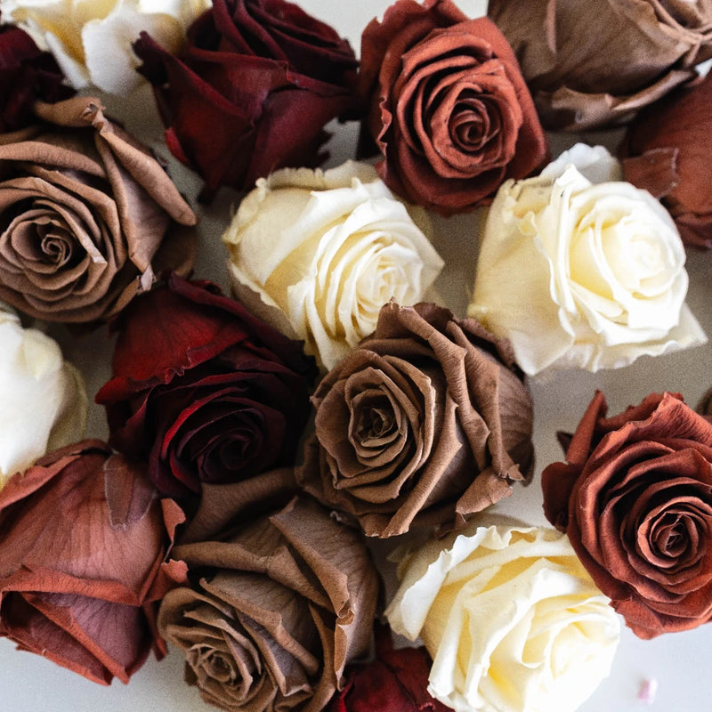 Preserved Terrocota Soul Mix Vase - Image