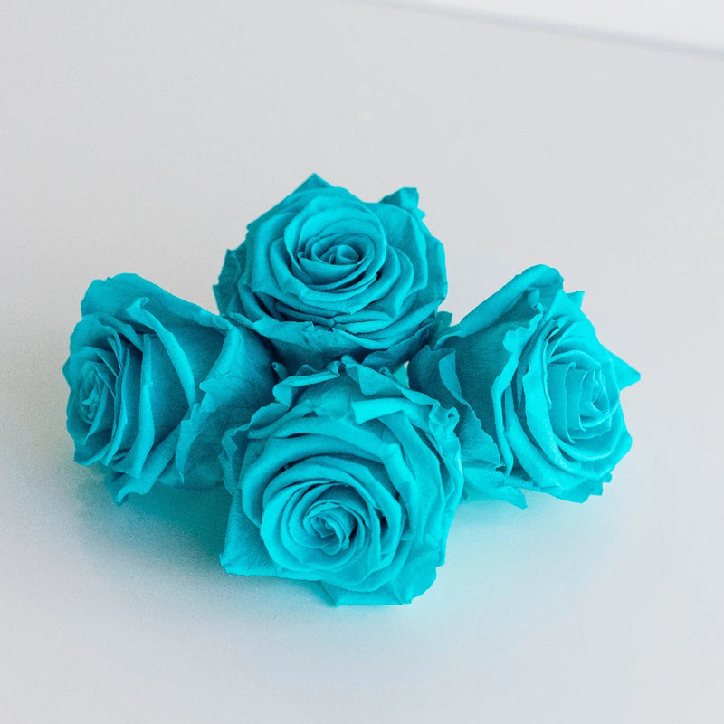 Preserved Tiffany Rose Apron - Image