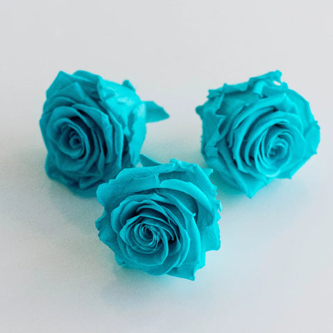 Preserved Tiffany Rose Stem - Image