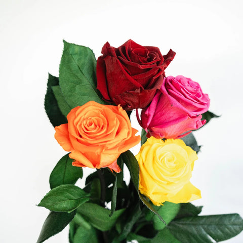 Preserved True Autumn Rose Mix Vase - Image