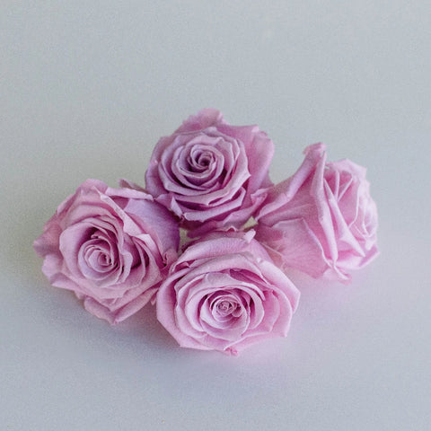 Preserved Vintage Pink Rose Apron - Image