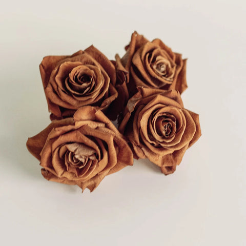 Preserved Warm Taupe Rose Apron - Image