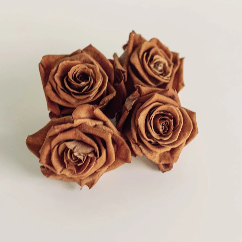 Preserved Warm Taupe Rose Apron - Image