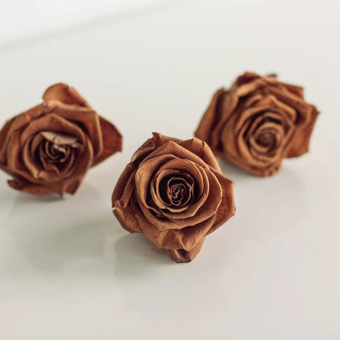 Preserved Warm Taupe Rose Stem - Image
