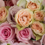 Pretty in Pink Flower Collection