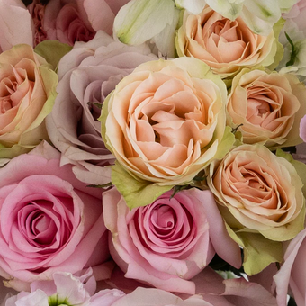 Pretty in Pink Flower Collection