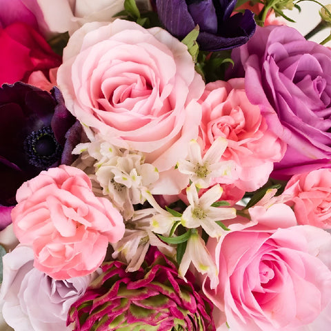 Primrose Pink Flower Arrangement Close Up - Image