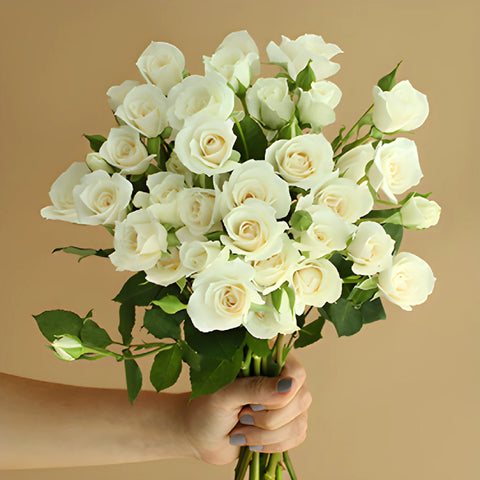 Princess Ivory Cream Wholesale Rose Bunch in a hand