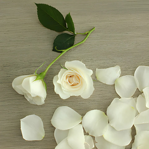 Princess Ivory Cream Spray Rose Bunch