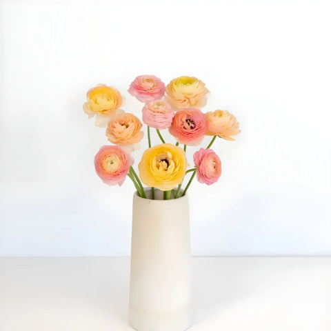 Peach Ranunculus Stem - Image